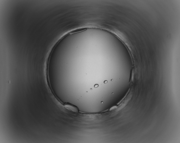 X0000089391438200706291327