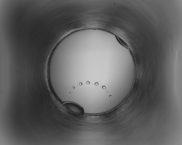 X0000089391439200706291327