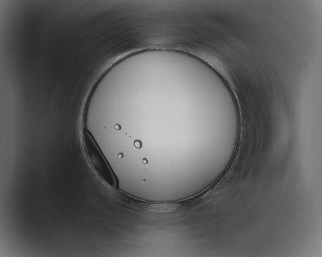 X0000089391440200706291327