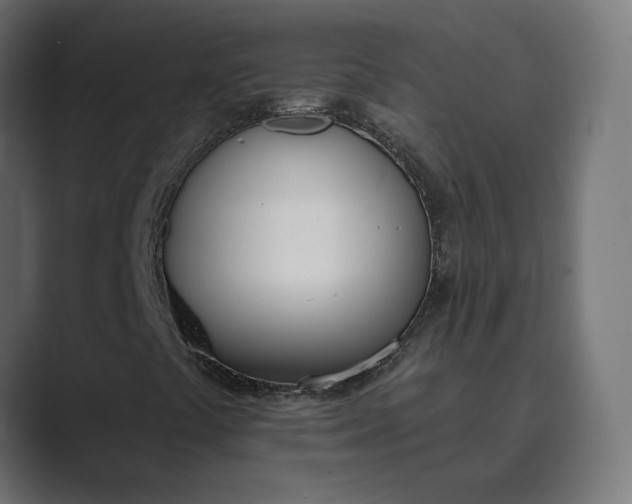 X0000089391441200706291326