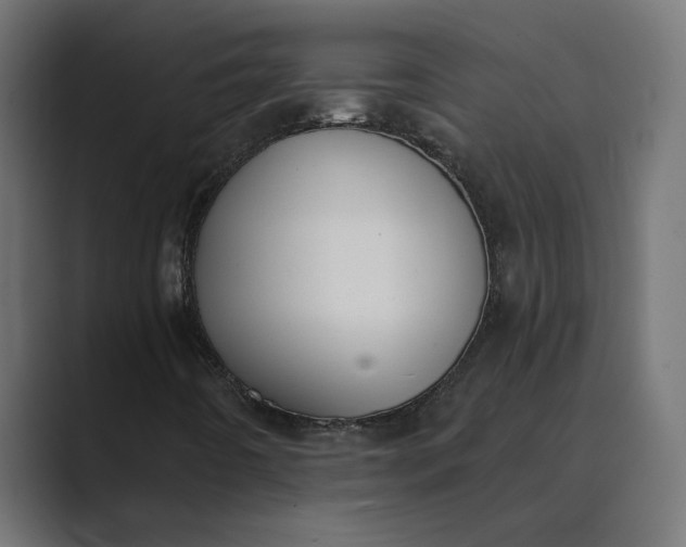 X0000089391442200706291326