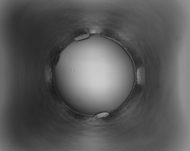X0000089391443200706291326