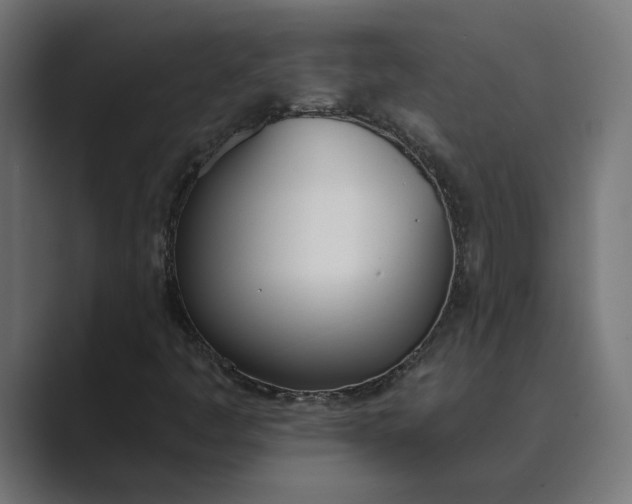X0000089391445200706291326