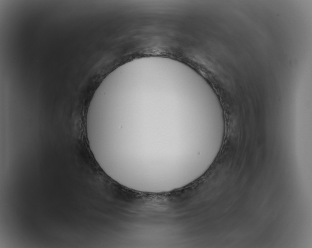 X0000089391446200706291326