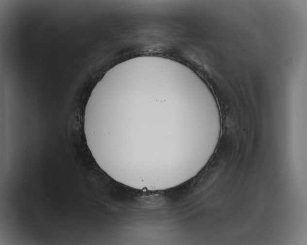 X0000089391447200706291326