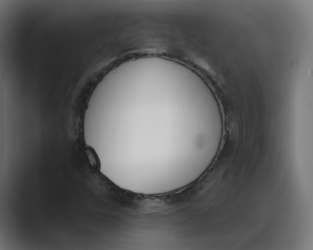 X0000089391448200706291326