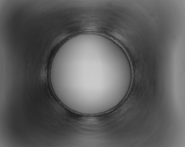 X0000089391450200706291326