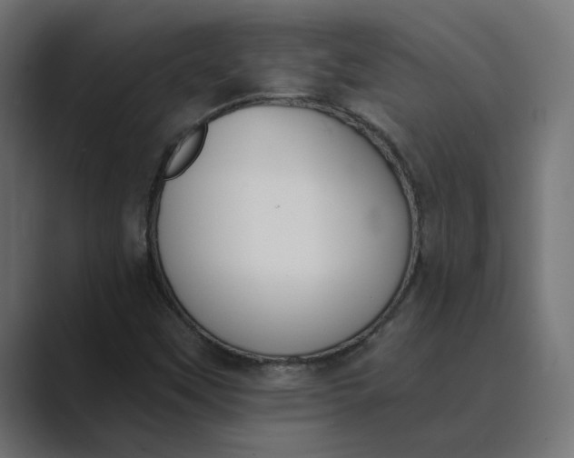 X0000089391451200706291326