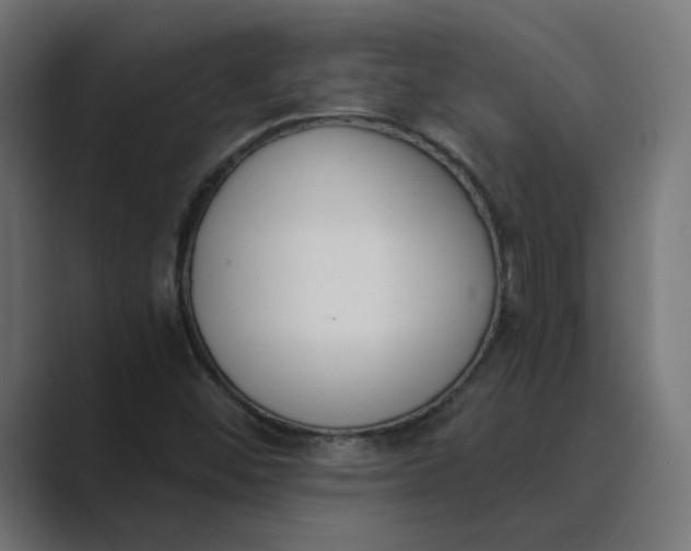 X0000089391452200706291326