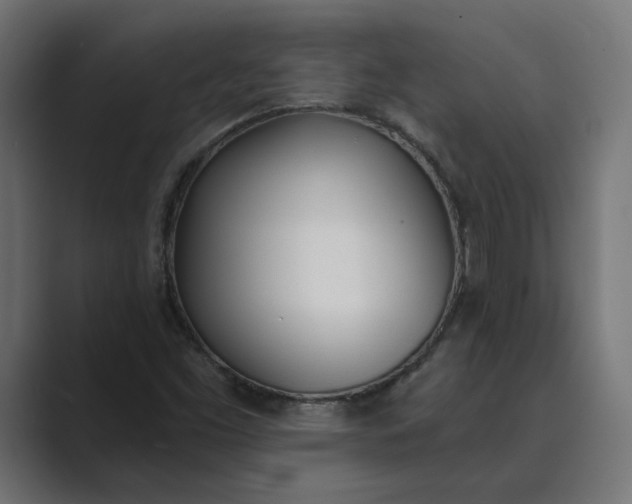 X0000089391453200706291326