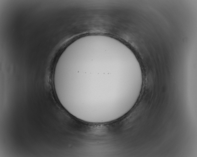 X0000089391454200706291326