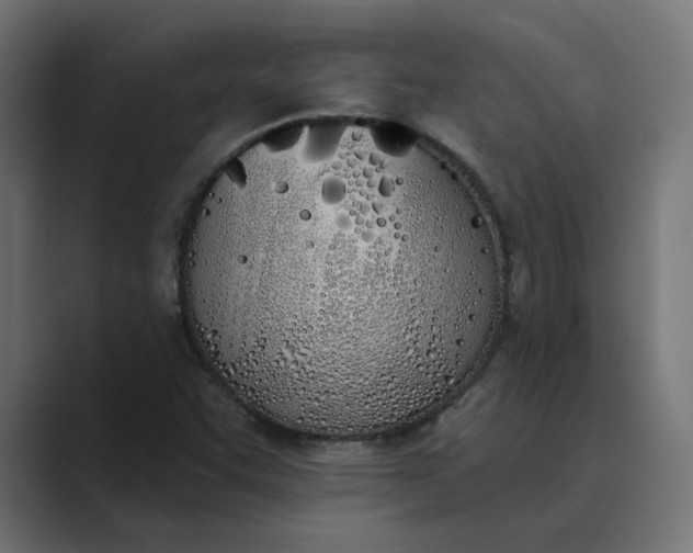 X0000089391455200706291326