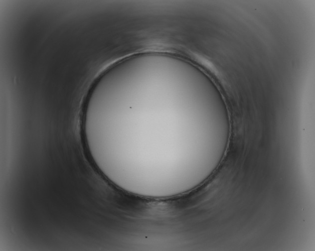 X0000089391463200706291326