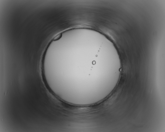 X0000089391471200706291326