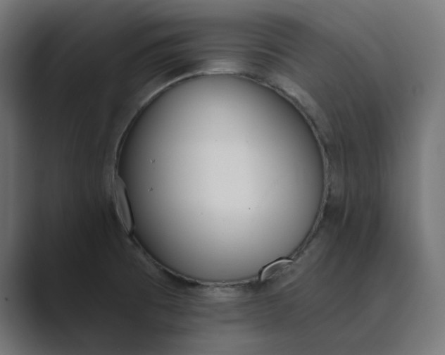 X0000089391473200706291326