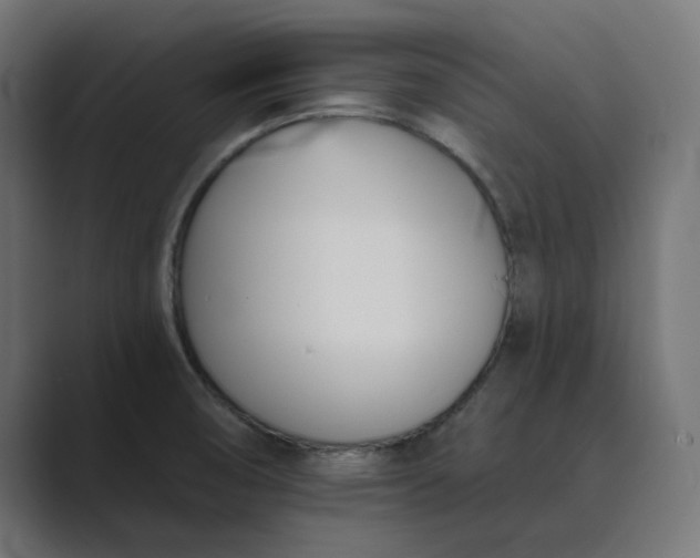 X0000089391474200706291326