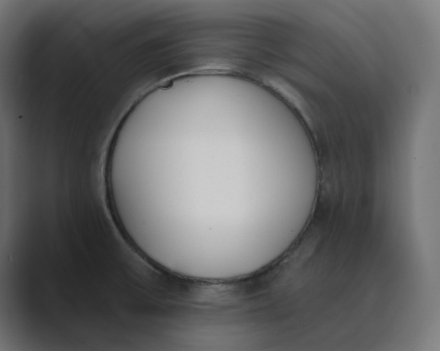 X0000089391475200706291326