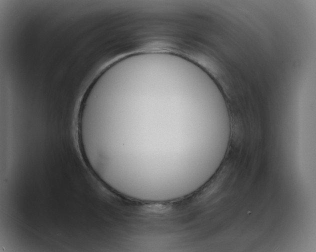 X0000089391478200706291326