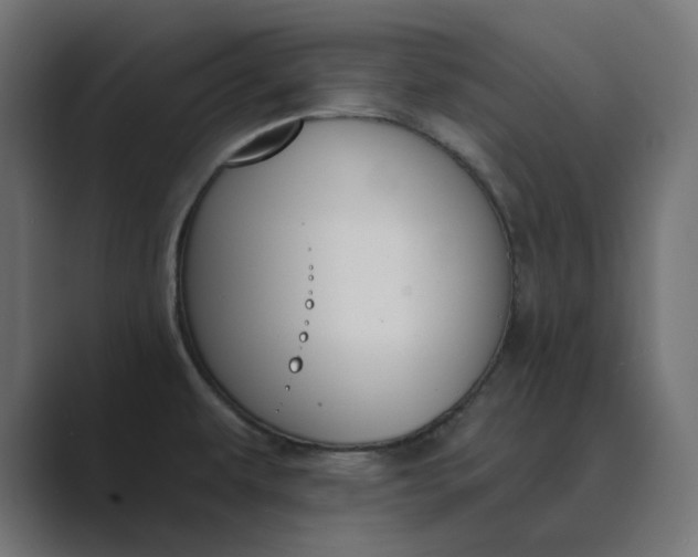 X0000089391479200706291326