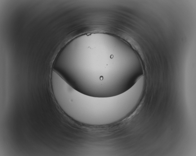 X0000089391481200706291326