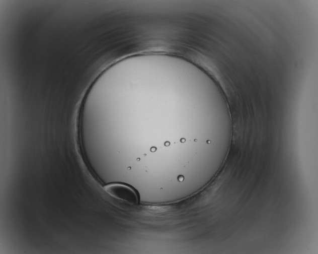 X0000089391483200706291326