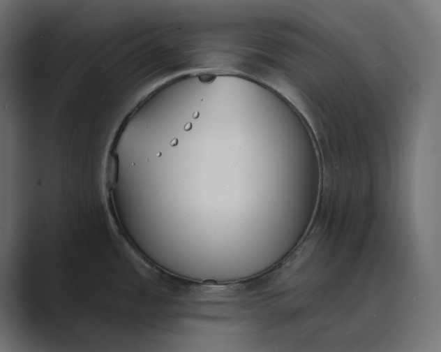 X0000089391485200706291326