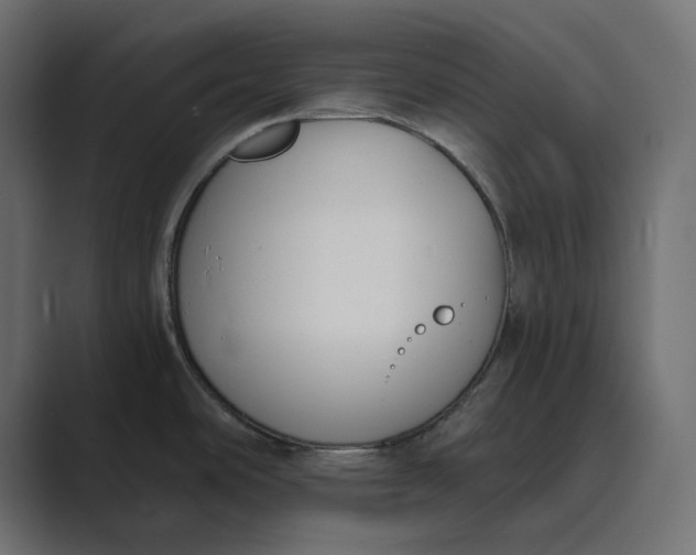 X0000089391486200706291326
