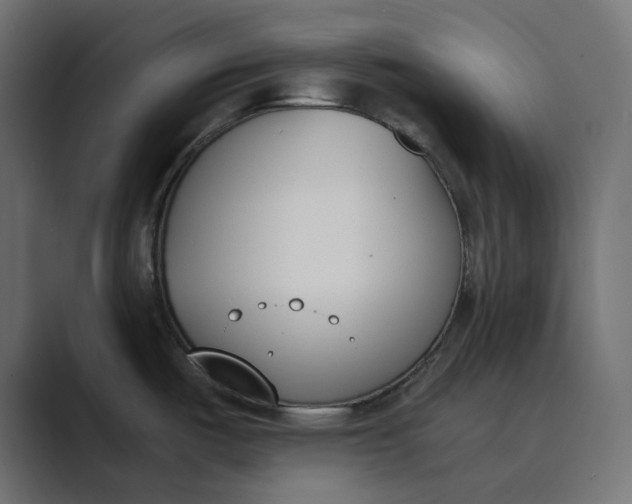 X0000089391487200706291325