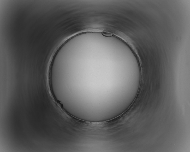 X0000089391488200706291325