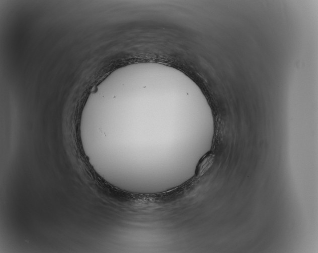 X0000089391489200706291325