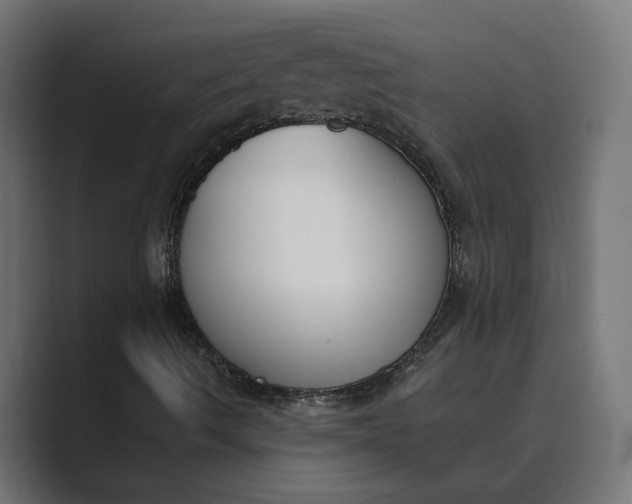 X0000089391490200706291325