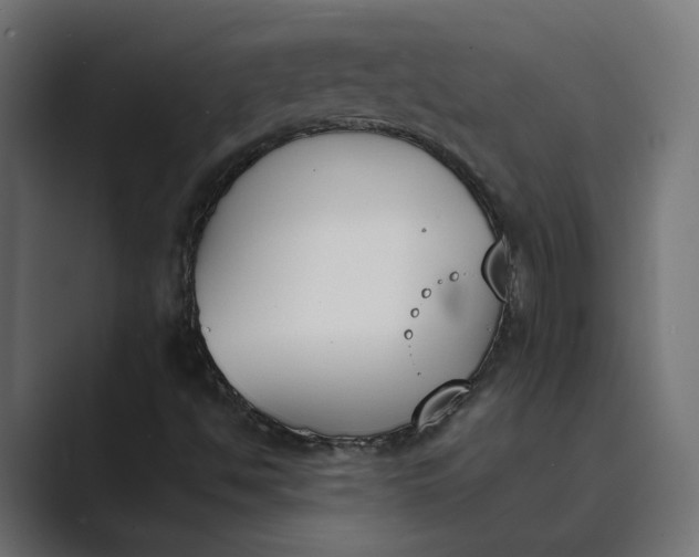 X0000089391494200706291325