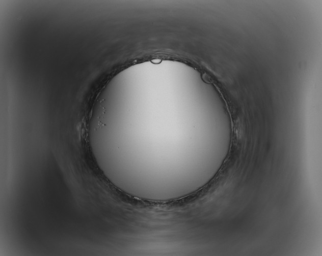 X0000089391495200706291325