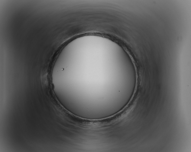 X0000089391497200706291325