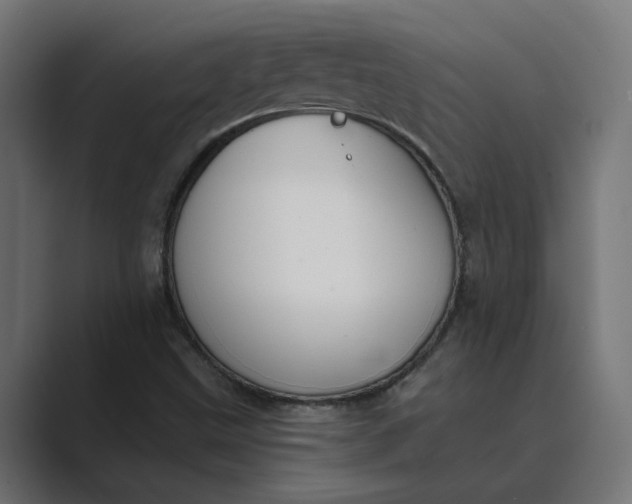 X0000089391499200706291325