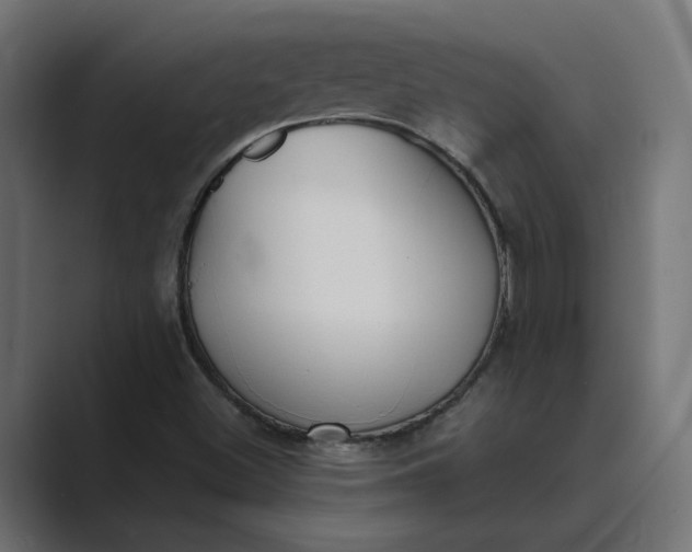 X0000089391500200706291325