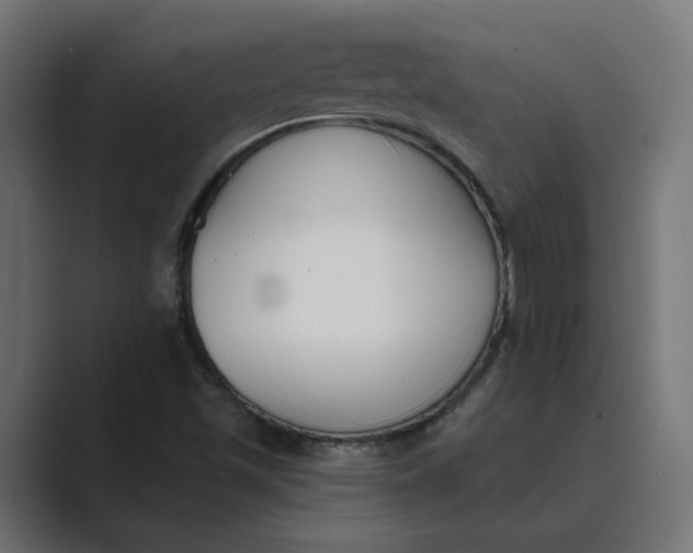 X0000089391501200706291325