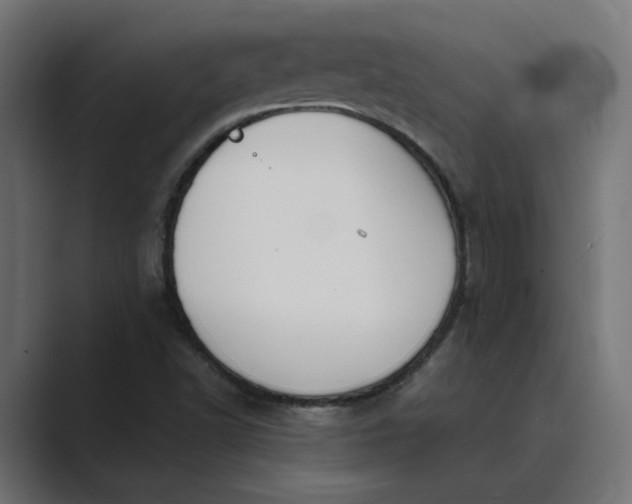 X0000089391502200706291325