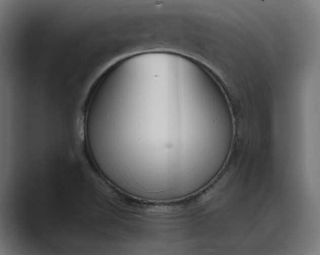 X0000089391510200706291325