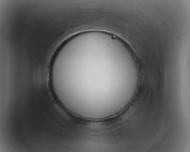 X0000089391511200706291325