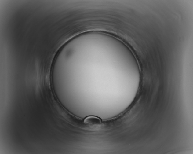 X0000089391513200706291325