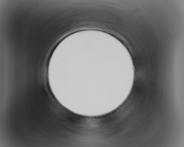 X0000089391514200706291325
