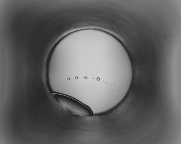 X0000089391518200706291325