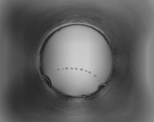 X0000089391519200706291325