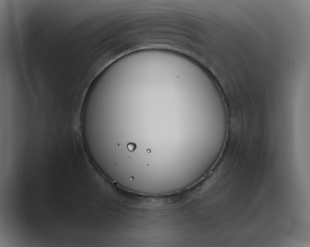 X0000089391521200706291325