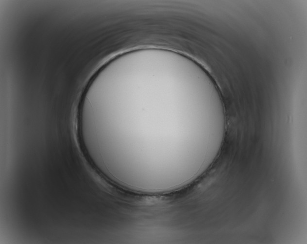 X0000089391523200706291325