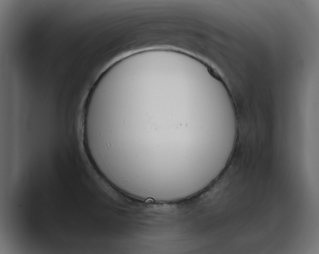 X0000089391526200706291325