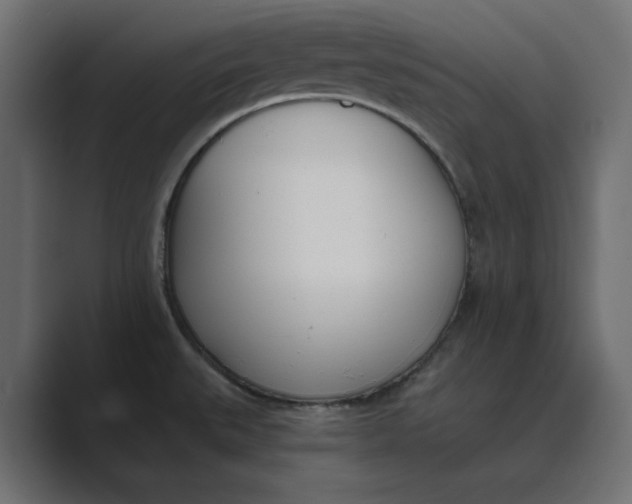 X0000089391527200706291325