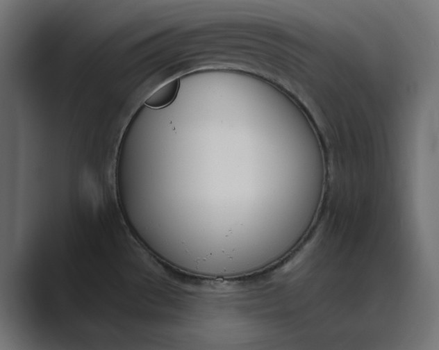 X0000089391529200706291325