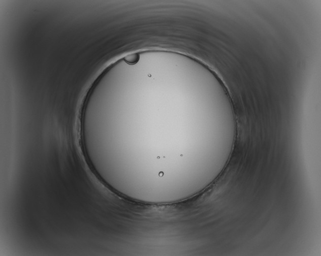 X0000089391531200706291325